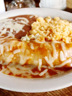 wet burrito with rice and beans for the kids