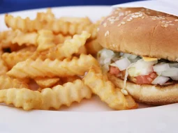 traditional american cheese burger with fries
